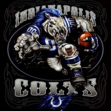 TS020 Indianapolis Colts